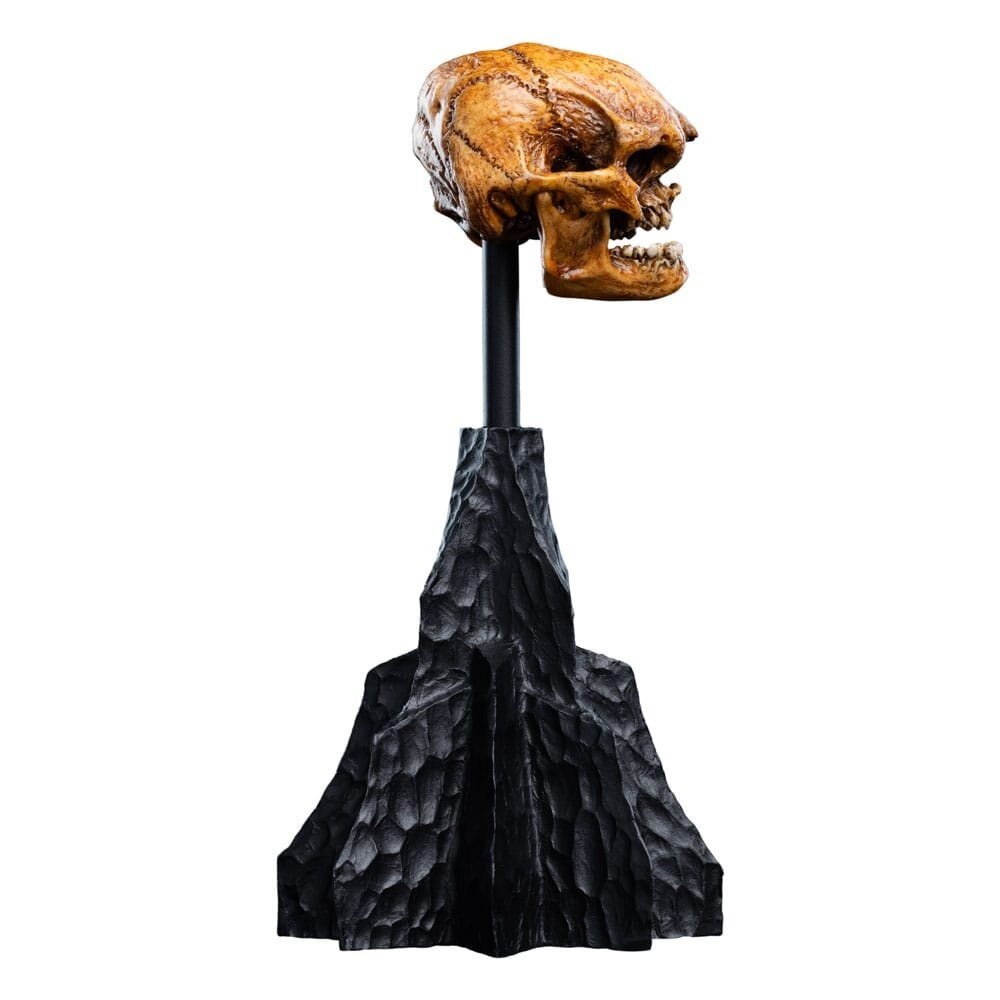 Weta Workshop Lord of the Rings Mini Statue Skull of a Misty Mountain Goblin 14 cm Weta Workshop Lord of the Rings Mini Statue Skull of a Misty Mountain Goblin 14 cm