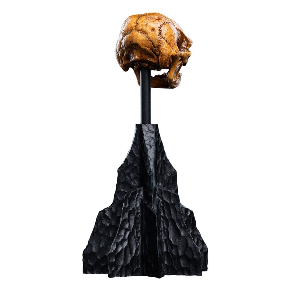 Weta Workshop Lord of the Rings Mini Statue Skull of a Misty Mountain Goblin 14 cm Weta Workshop Lord of the Rings Mini Statue Skull of a Misty Mountain Goblin 14 cm