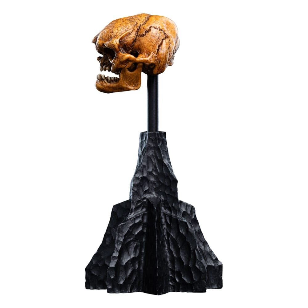 Weta Workshop Lord of the Rings Mini Statue Skull of a Misty Mountain Goblin 14 cm Weta Workshop Lord of the Rings Mini Statue Skull of a Misty Mountain Goblin 14 cm
