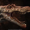 Elite Creature Collectibles Jurassic Park III Maquette 1/12 Spinosaurus 56 cm Elite Creature Collectibles Jurassic Park III Maquette 1/12 Spinosaurus 56 cm