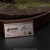 Elite Creature Collectibles Jurassic Park III Maquette 1/12 Spinosaurus 56 cm Elite Creature Collectibles Jurassic Park III Maquette 1/12 Spinosaurus 56 cm