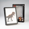 Grupo Erik Jurassic Park LED Framed Print 20 x 28 cm
