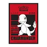 Ultra Pro Pokémon Charmander Sleeves (65x) Ultra Pro Pokémon Charmander Sleeves (65x)