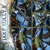 Prime 1 Studio Avatar (Film) Real Elite Masterline Series Statue 1/4 Jake Sully & The Great Leonopteryx Deluxe Ver. 87 cm