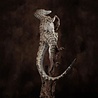 Elite Creature Collectibles Jurassic Park III Maquette 1/4 Female Velociraptor White Queen 103 cm Elite Creature Collectibles Jurassic Park III Maquette 1/4 Female Velociraptor White Queen 103 cm