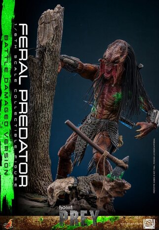 Hot Toys Prey Action Figure 1/6 Feral Predator (Battle Damaged Version) 37 cm Hot Toys Prey Action Figure 1/6 Feral Predator (Battle Damaged Version) 37 cm