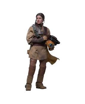 Hot Toys Star Wars Episode VI Action Figure 1/6 Leia Organa (Boushh Disguise) 27 cm