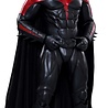 Hot Toys Batman & Robin Action Figure 1/6 Robin 30 cm