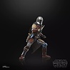 Hasbro Star Wars: The Mandalorian Black Series Action Figure The Mandalorian (Pagodon) 15 cm Hasbro Star Wars: The Mandalorian Black Series Action Figure The Mandalorian (Pagodon) 15 cm