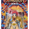 Mattel Masters of the Universe x ThunderCats Action Figure Lion-O 14 cm