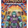 Mattel Masters of the Universe x ThunderCats Action Figure Panthor Man 14 cm