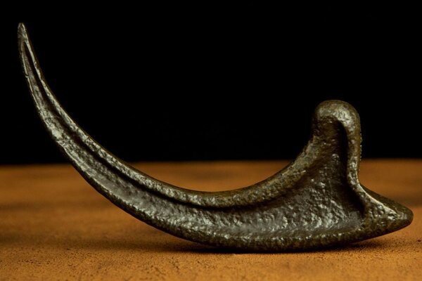 Doctor Collector Jurassic Park Replica 1/1 Raptor Claw