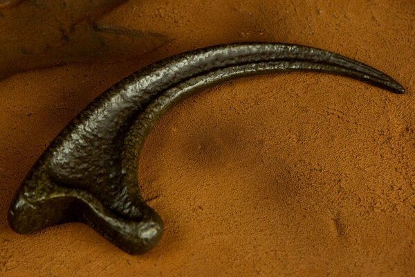 Doctor Collector Jurassic Park Replica 1/1 Raptor Claw