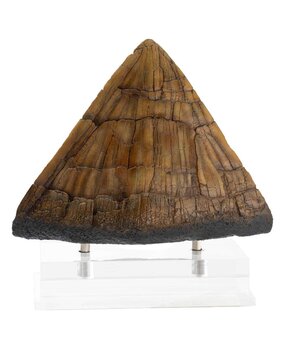 Elite Creature Collectibles Jurassic Park Statue Triceratops Spike Prop 19 cm