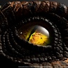 Elite Creature Collectibles The Lost World: Jurassic Park Replica Bust Male Velociraptor Eye Prop 23 cm Elite Creature Collectibles The Lost World: Jurassic Park Replica Bust Male Velociraptor Eye Prop 23 cm