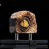 Elite Creature Collectibles The Lost World: Jurassic Park Replica Bust Male Velociraptor Eye Prop 23 cm Elite Creature Collectibles The Lost World: Jurassic Park Replica Bust Male Velociraptor Eye Prop 23 cm