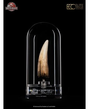 Elite Creature Collectibles Jurassic Park III Prop Replica 1/1 Spinosaurus Tooth 14 cm