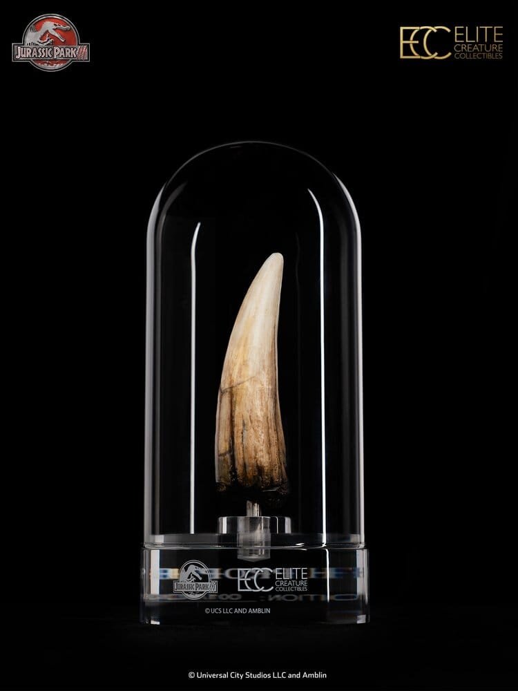 Elite Creature Collectibles Jurassic Park III Prop Replica 1/1 Spinosaurus Tooth 14 cm