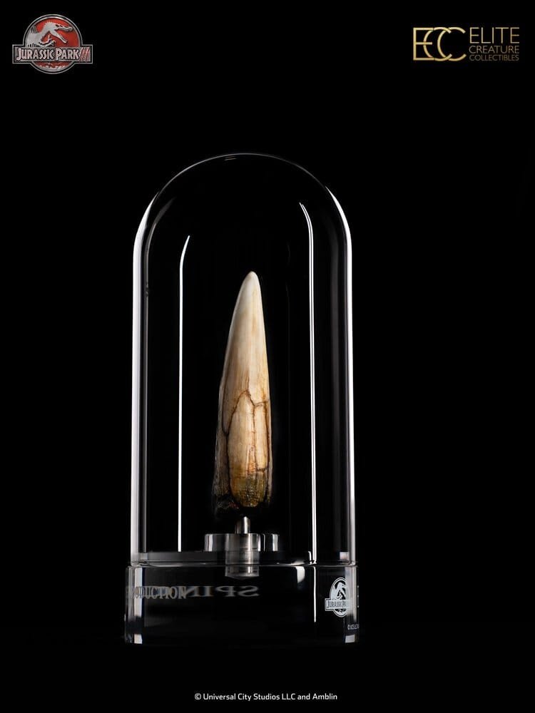 Elite Creature Collectibles Jurassic Park III Prop Replica 1/1 Spinosaurus Tooth 14 cm