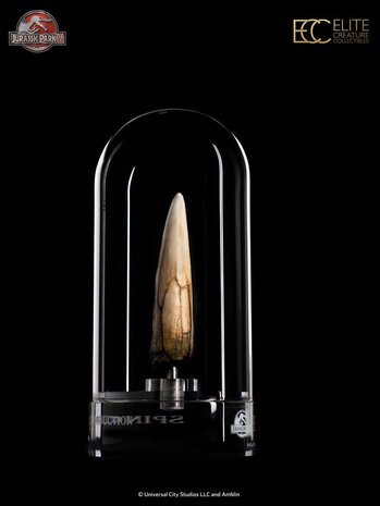 Elite Creature Collectibles Jurassic Park III Prop Replica 1/1 Spinosaurus Tooth 14 cm