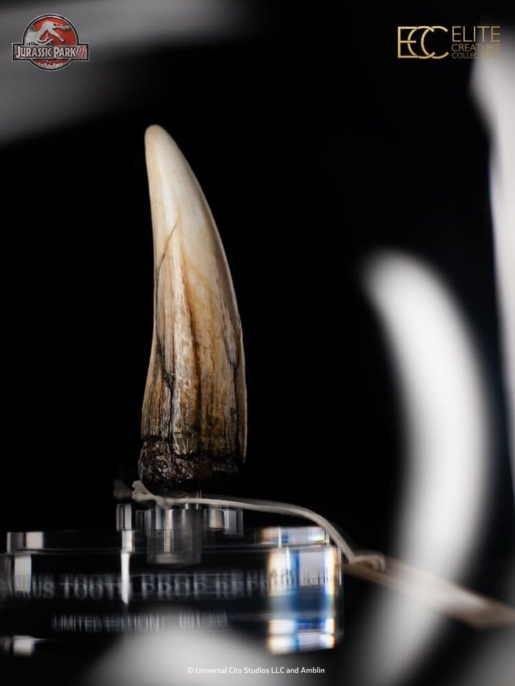 Elite Creature Collectibles Jurassic Park III Prop Replica 1/1 Spinosaurus Tooth 14 cm