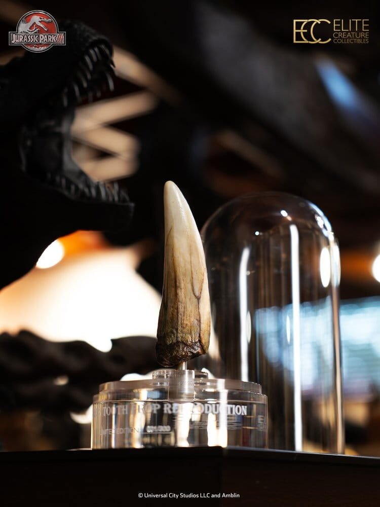 Elite Creature Collectibles Jurassic Park III Prop Replica 1/1 Spinosaurus Tooth 14 cm