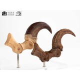 Elite Creature Collectibles Jurassic Park ECC Statue Velociraptor Foot Claw and Fossil Claw Set 20 cm