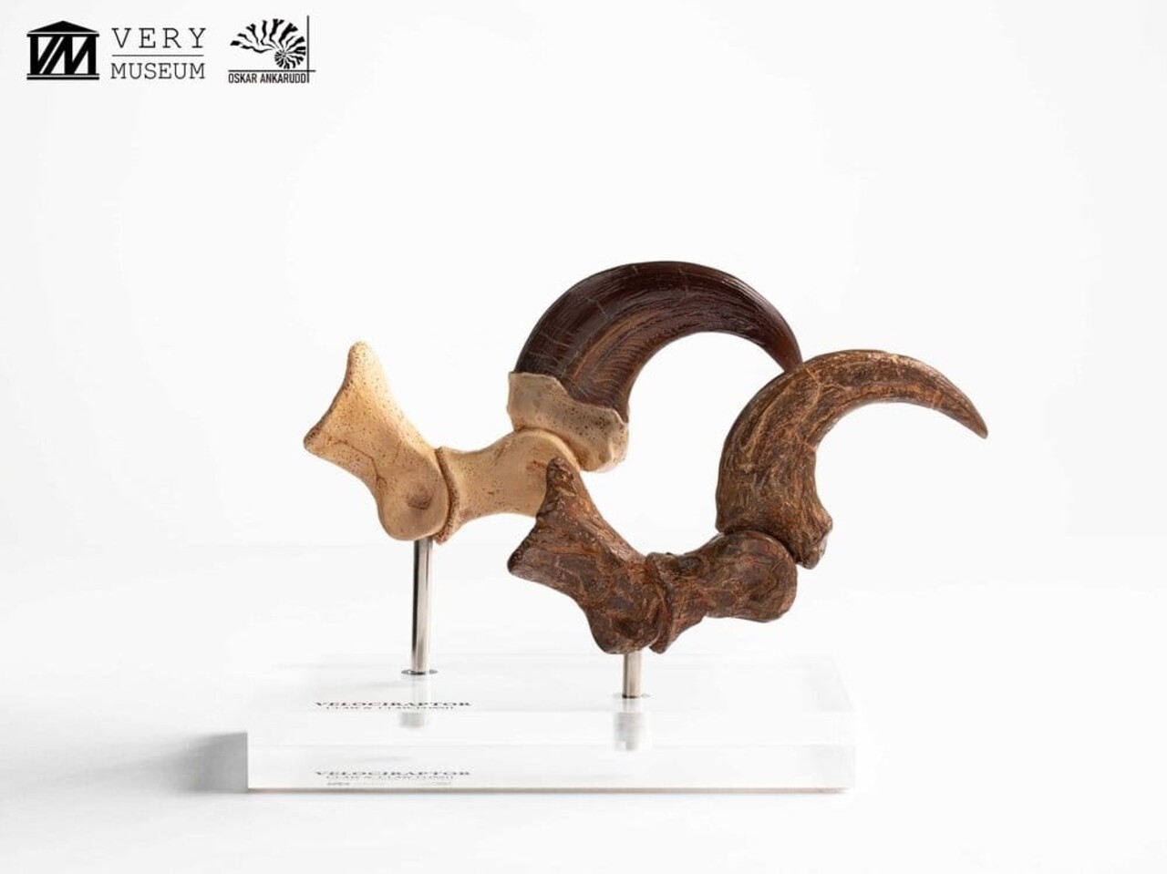 Elite Creature Collectibles Jurassic Park ECC Statue Velociraptor Foot Claw and Fossil Claw Set 20 cm