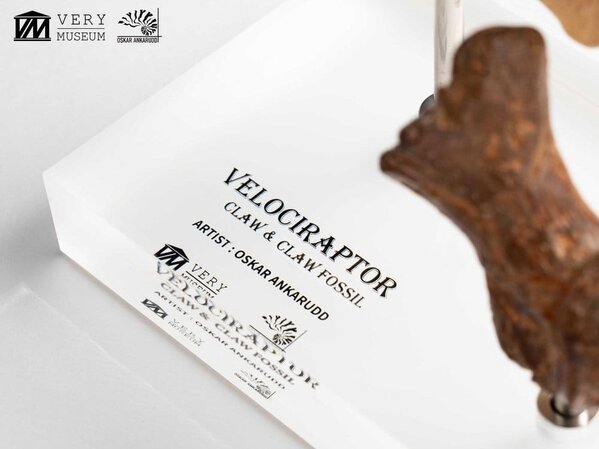 Elite Creature Collectibles Jurassic Park ECC Statue Velociraptor Foot Claw and Fossil Claw Set 20 cm