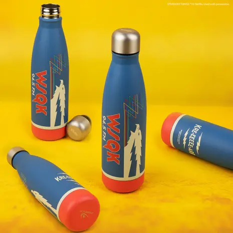 Cinereplicas Stranger Things WSQK Metal Water Bottle