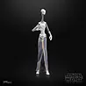 Hasbro Star Wars Episode II Black Series Action Figure Taun We 15 cm