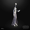 Hasbro Star Wars Episode II Black Series Action Figure Taun We 15 cm