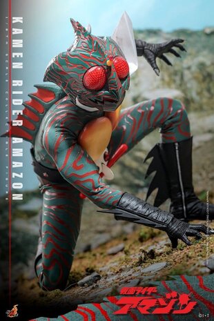 Hot Toys Kamen Rider Amazon 1/6 Amazon (Daisuke Yamamoto) 30 cm