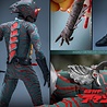 Hot Toys Kamen Rider Amazon 1/6 Amazon (Daisuke Yamamoto) 30 cm