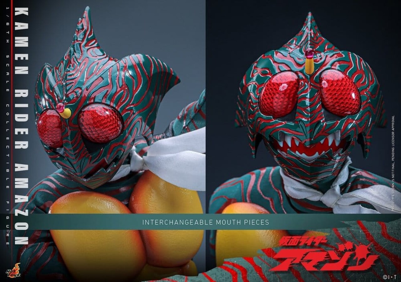 Hot Toys Kamen Rider Amazon 1/6 Amazon (Daisuke Yamamoto) 30 cm