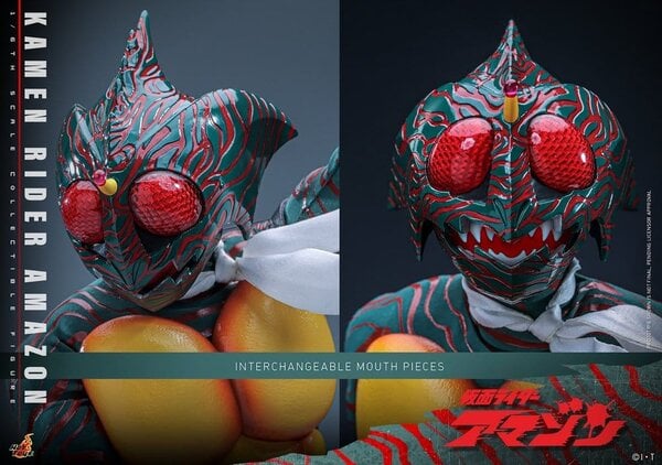 Hot Toys Kamen Rider Amazon 1/6 Amazon (Daisuke Yamamoto) 30 cm