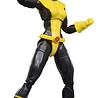 Hasbro Astonishing X-Men Marvel Legends Action Figure 2-Pack Kitty Pryde & Marvel's Colossus 15 cm