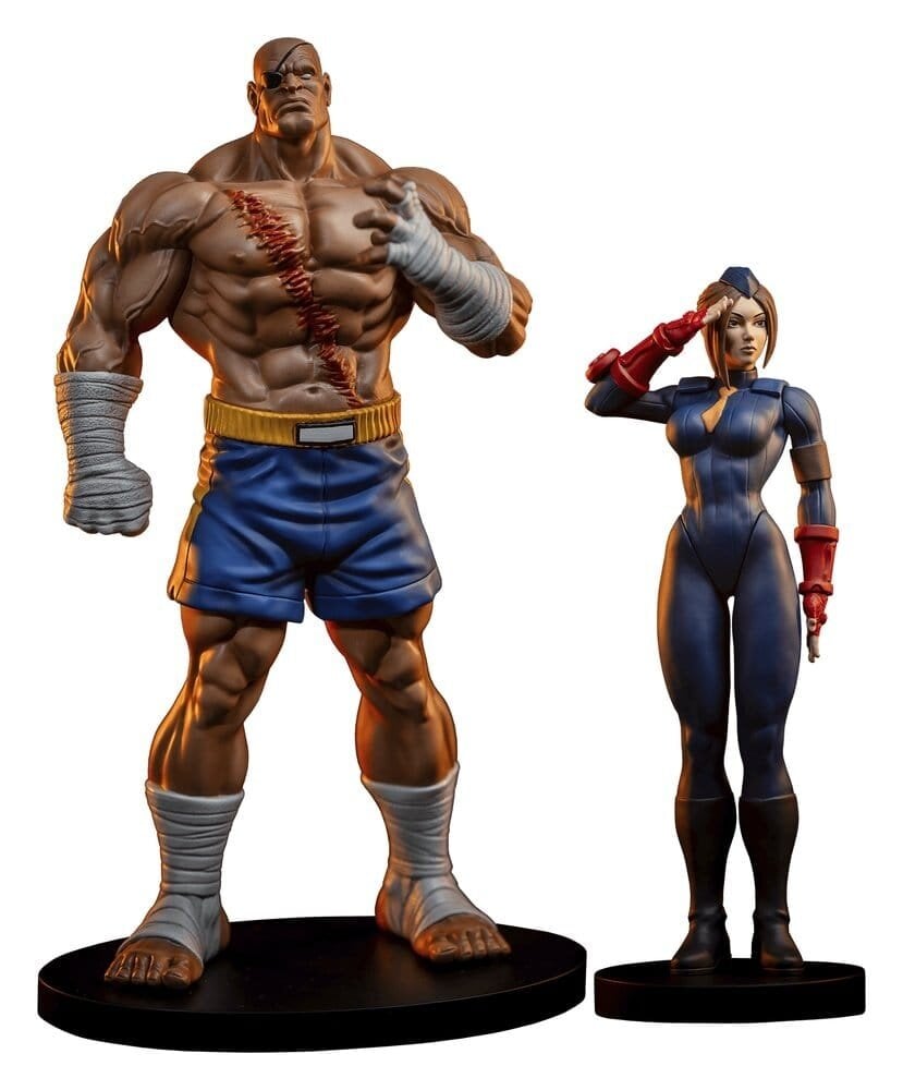 PCS Street Fighter Street Jam Statuen 1/10 Sagat & Juli 24 cm