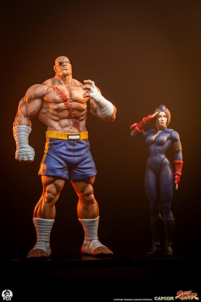 PCS Street Fighter Street Jam Statuen 1/10 Sagat & Juli 24 cm