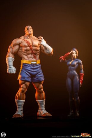 PCS Street Fighter Street Jam Statuen 1/10 Sagat & Juli 24 cm
