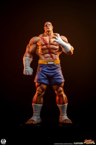 PCS Street Fighter Street Jam Statuen 1/10 Sagat & Juli 24 cm