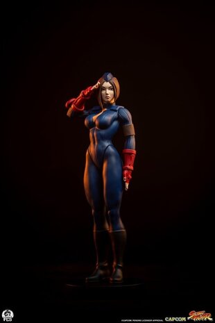 PCS Street Fighter Street Jam Statuen 1/10 Sagat & Juli 24 cm