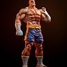 PCS Street Fighter Street Jam Statuen 1/10 Sagat & Juli 24 cm