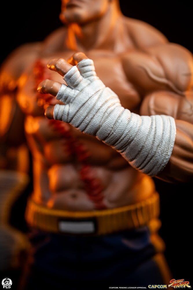 PCS Street Fighter Street Jam Statuen 1/10 Sagat & Juli 24 cm
