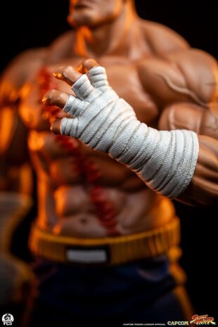 PCS Street Fighter Street Jam Statuen 1/10 Sagat & Juli 24 cm