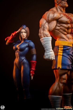PCS Street Fighter Street Jam Statuen 1/10 Sagat & Juli 24 cm