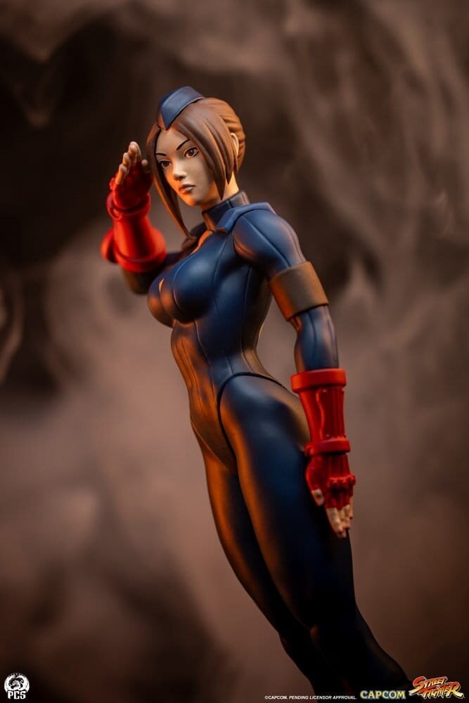 PCS Street Fighter Street Jam Statuen 1/10 Sagat & Juli 24 cm