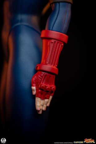 PCS Street Fighter Street Jam Statuen 1/10 Sagat & Juli 24 cm