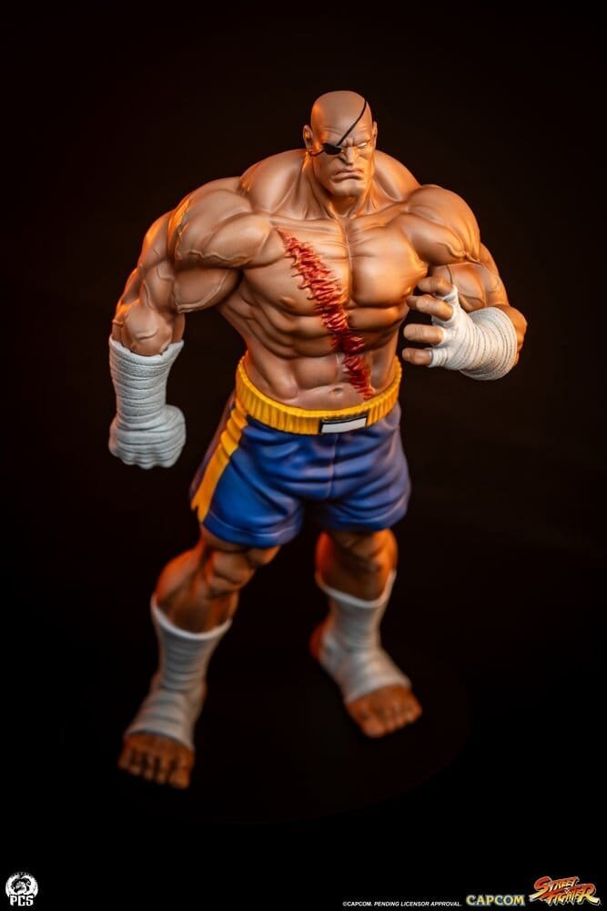 PCS Street Fighter Street Jam Statuen 1/10 Sagat & Juli 24 cm