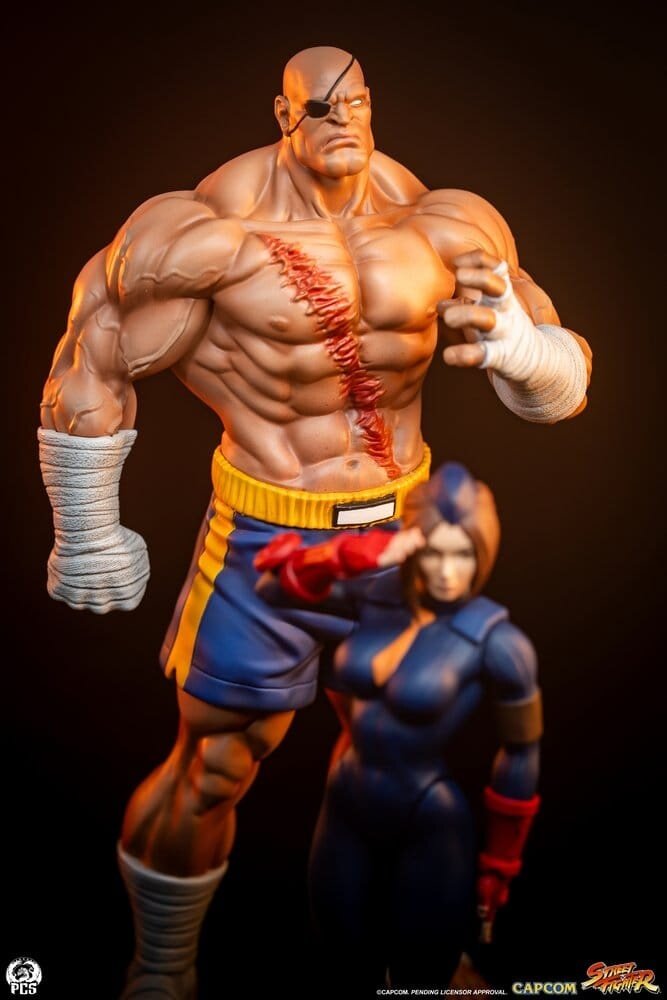 PCS Street Fighter Street Jam Statuen 1/10 Sagat & Juli 24 cm
